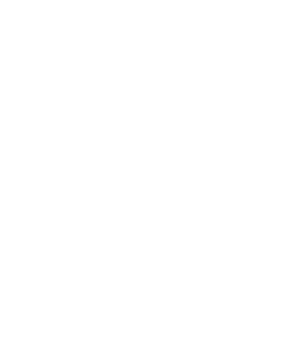 RoneMSP